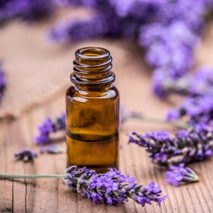 lavender essential oil