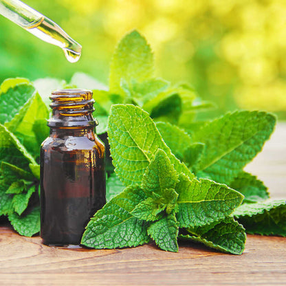 mint essential oil